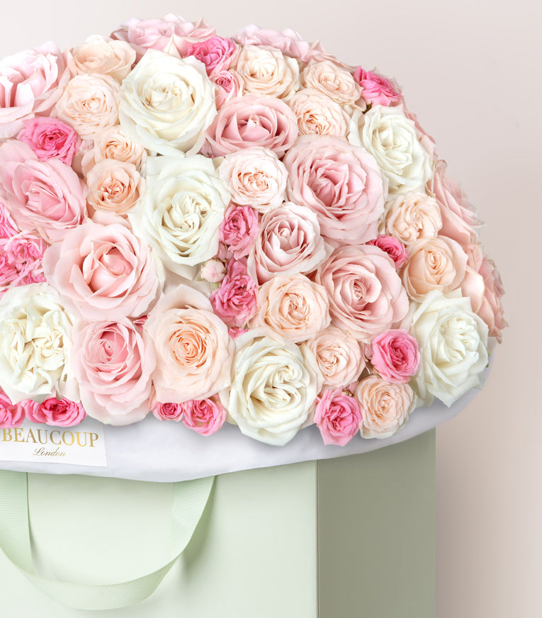 Morning Roses at Mayfair