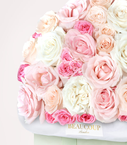 Morning Roses at Mayfair