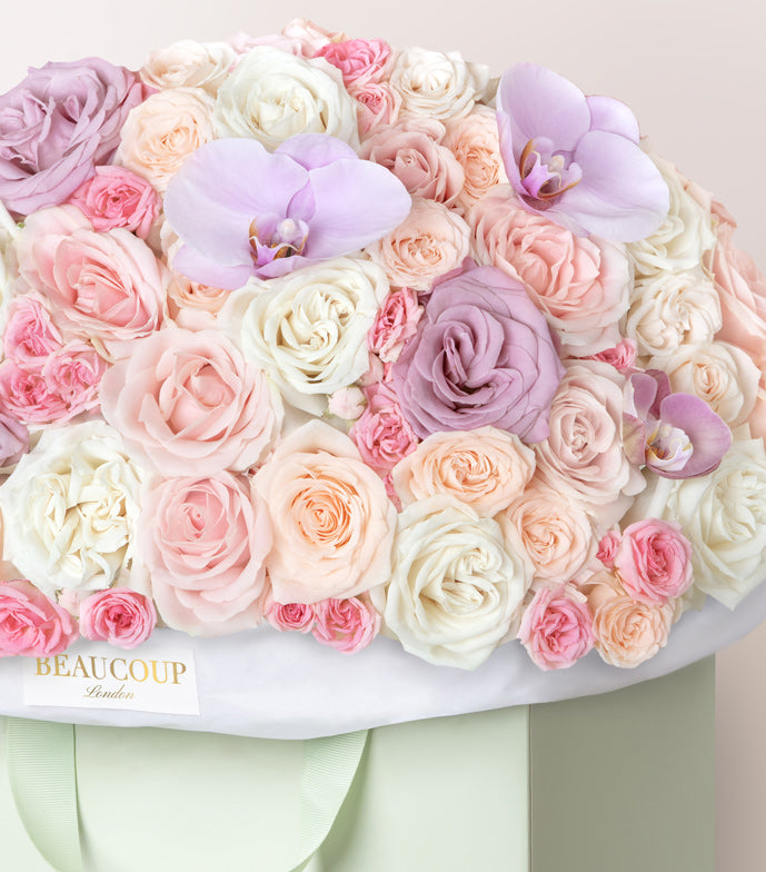 A Notting Hill Postcard