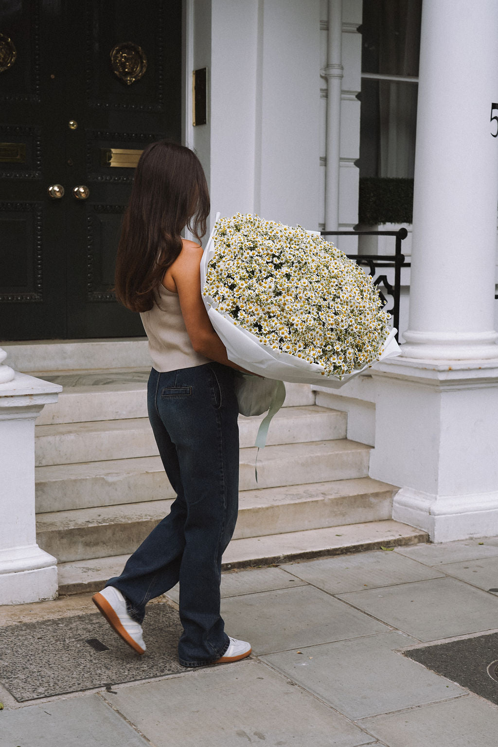 The Kensington Daisy